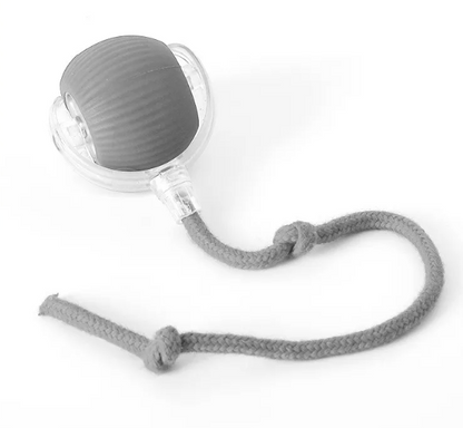 PurrPlay Selbstrullender Katzenspielball