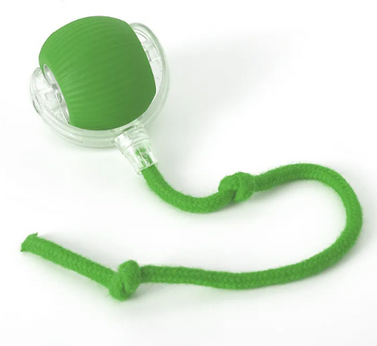 PurrPlay Selbstrullender Katzenspielball